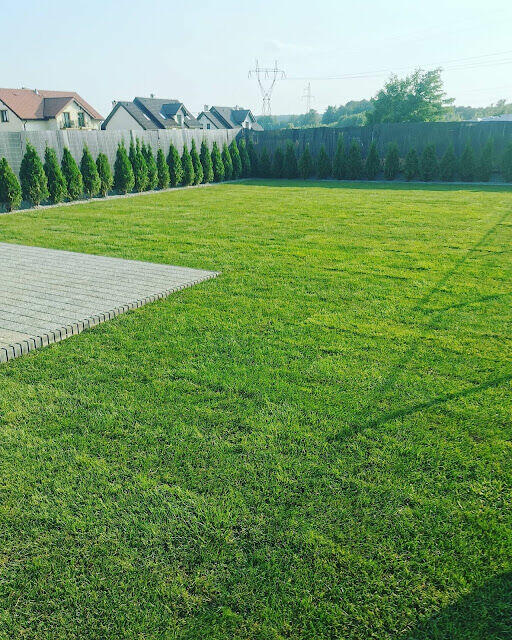 Potrzebujesz pomocy przy domu. pielęgnacji, uruchomić nawodn