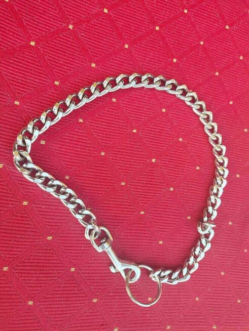 Obroża dla Psa Psów metalowa srebrna łańcuch