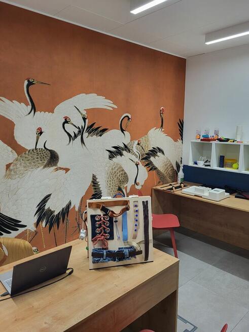 Rehabilitacja neurologiczna i ortopedyczna we Wrocławiu