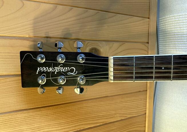 Tanglewood TPE-F-ZS.