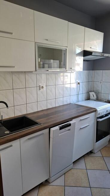 Mieszkanie - 2 pokoje plus kuchnia do wynajęcia