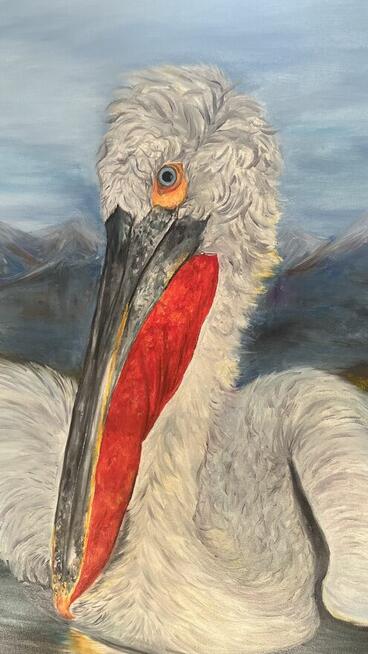 Dalmatyński pelikan. Obraz olejny 100x80 cm
