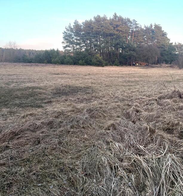 Duża działka 1,29 ha z domem w budowie