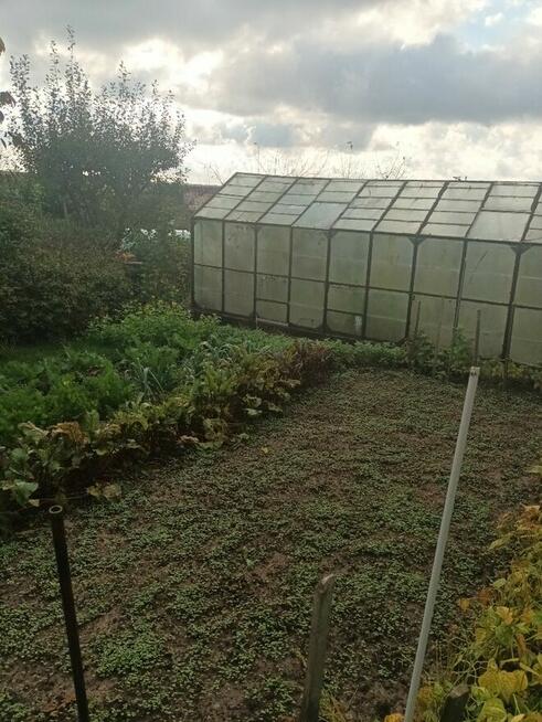 Sprzedam działkę ROD – Ełk / ROD „Sasanka”, Konieczki