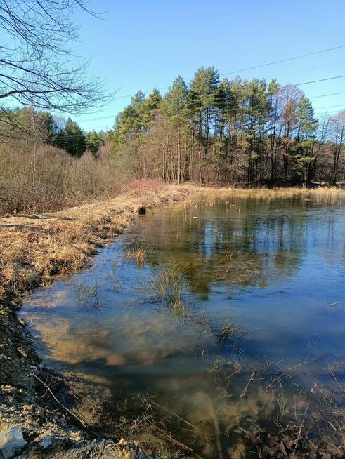 Koparka długie ramie czyszczenie stawów
