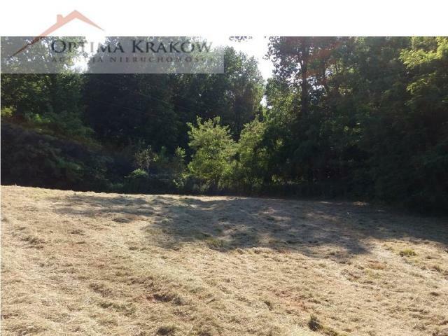 Działka rolna Kraków Bieżanów-Prokocim, Bieżanów, Stanisława Pronia