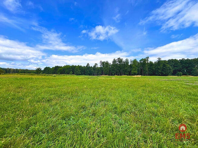 Działka budowlana Harsz gm. Pozezdrze,