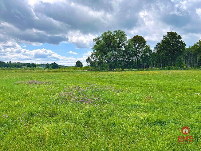 Działka budowlana Harsz gm. Pozezdrze,