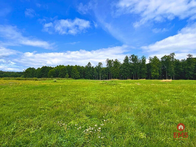 Działka budowlana Harsz gm. Pozezdrze,