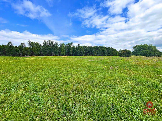 Działka budowlana Harsz gm. Pozezdrze,