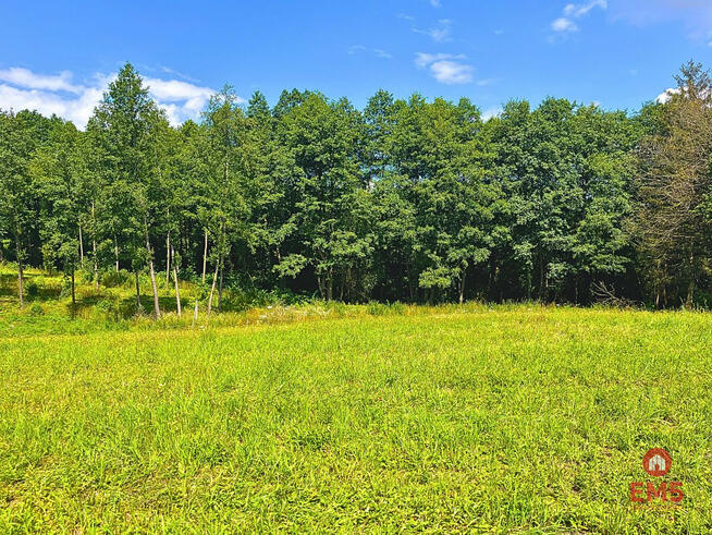 Działka budowlana Stare Miasto gm. Dąbrówno,
