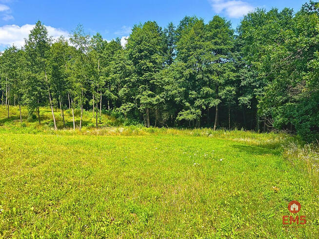 Działka budowlana Stare Miasto gm. Dąbrówno,