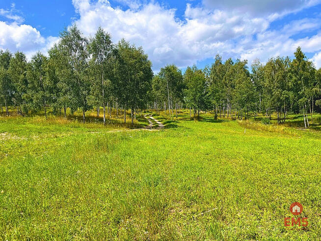 Działka budowlana Dąbrówno,
