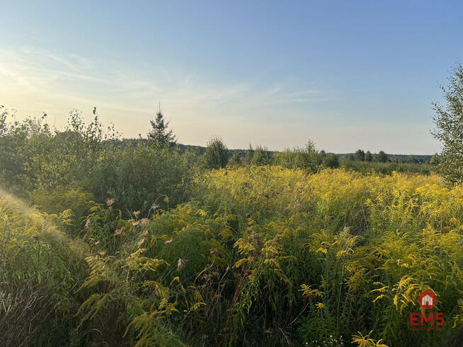 Działka rolna Morze gm. Czyże,
