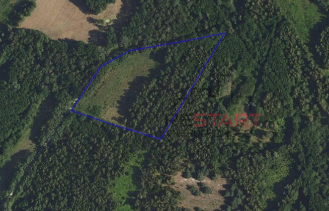 Działka budowlana Adamów-Parcel gm. Radziejowice,
