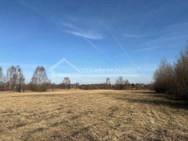 Działka usługowa Trzciniec gm. Lubartów, Trzciniec, Lubartów