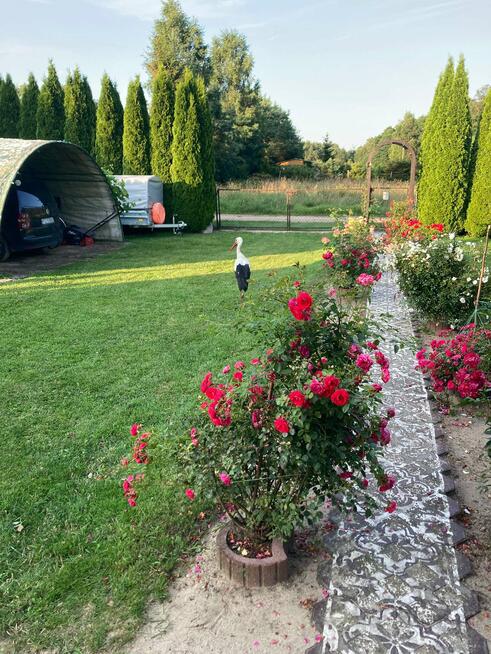 Działka rekreacyjna Sasino, 2 domki, 3km od morza!!!!