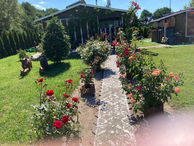 Działka rekreacyjna Sasino, 2 domki, 3km od morza!!!!