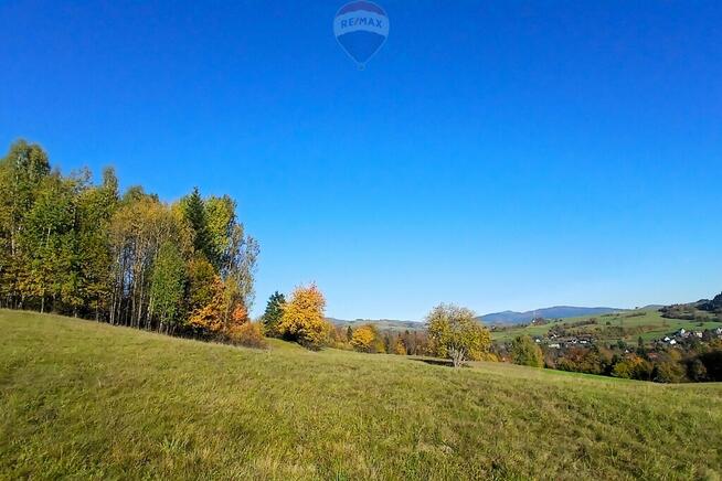 Działka Poręba Wielka