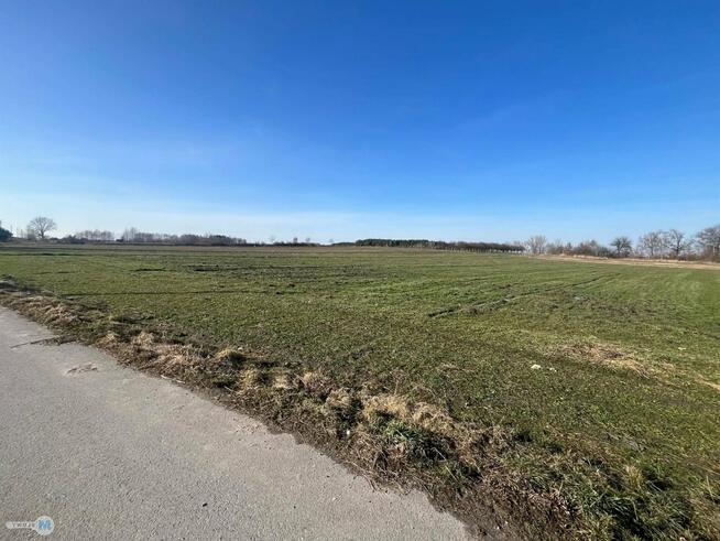 Działka Gnojno Kostera