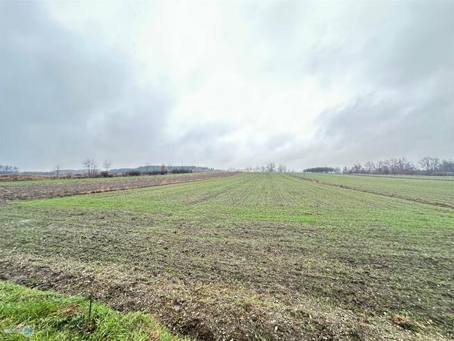 Działka Gnojno Kostera