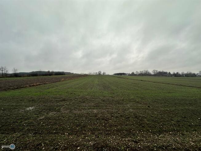 Działka Gnojno Kostera