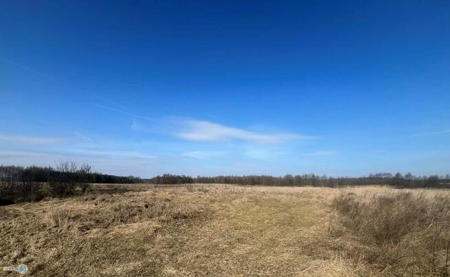 Działka rolna Śladków Duży Śladków Duży