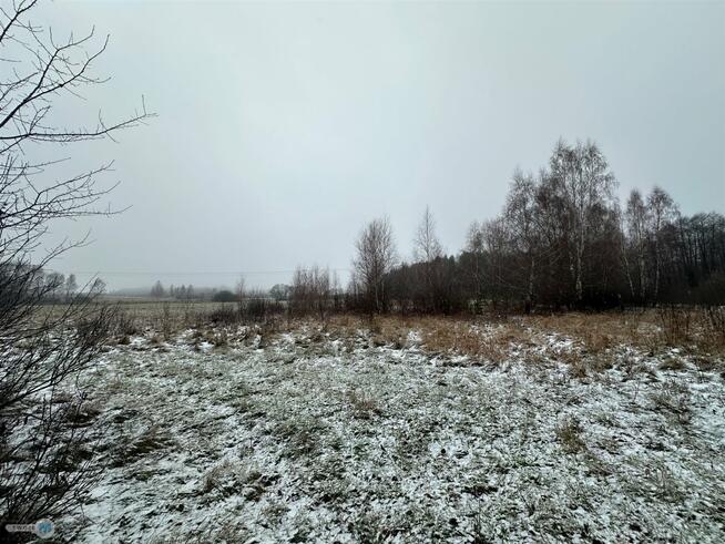 Działka rolna Śladków Duży Śladków Duży