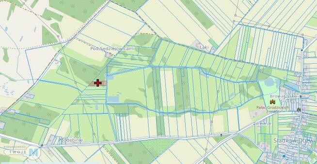 Działka rolna Śladków Duży Śladków Duży