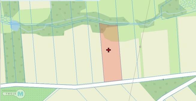 Działka rolna Śladków Duży Śladków Duży