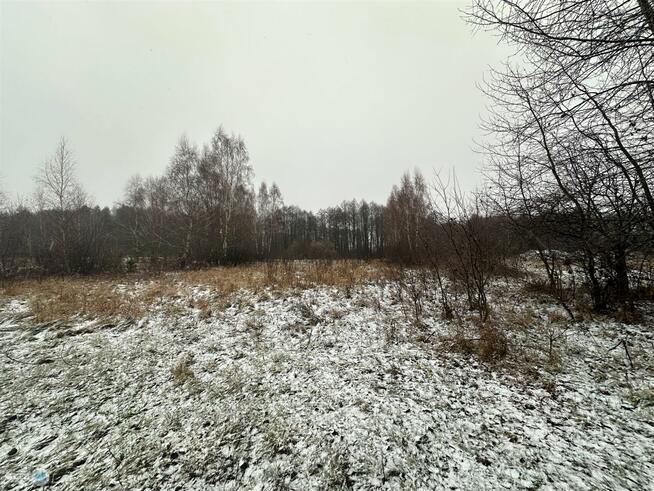 Działka rolna Śladków Duży Śladków Duży