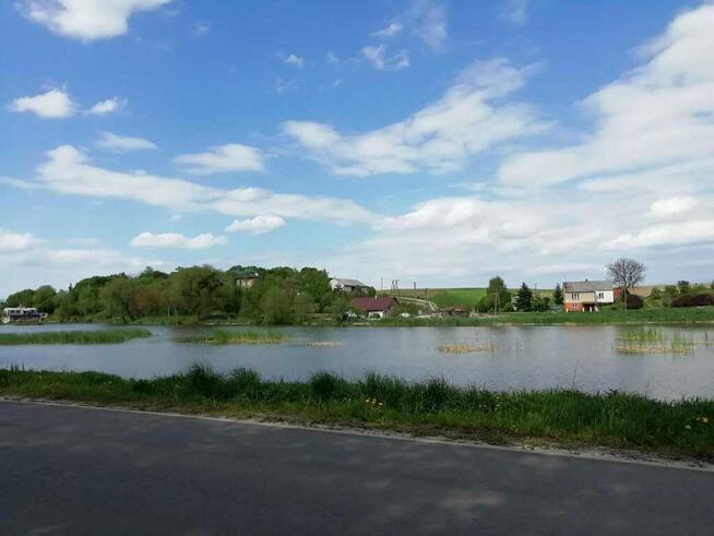 Działka o pow. 4,6 ha w Klementowicach gm. Kurów.