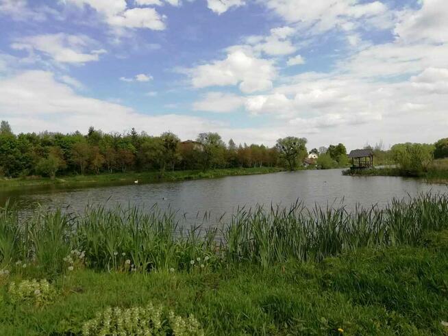 Działka o pow. 4,6 ha w Klementowicach gm. Kurów.