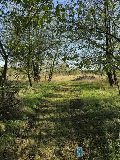 Dom Sobienie Szlacheckie gm. Sobienie-Jeziory,