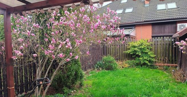 ✅ Przytulny dom na Zielonej Białołęce✅