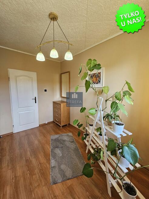 Mieszkanie Szczecin Śródmieście