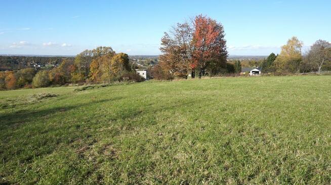 Działka Zamarski gm. Hażlach