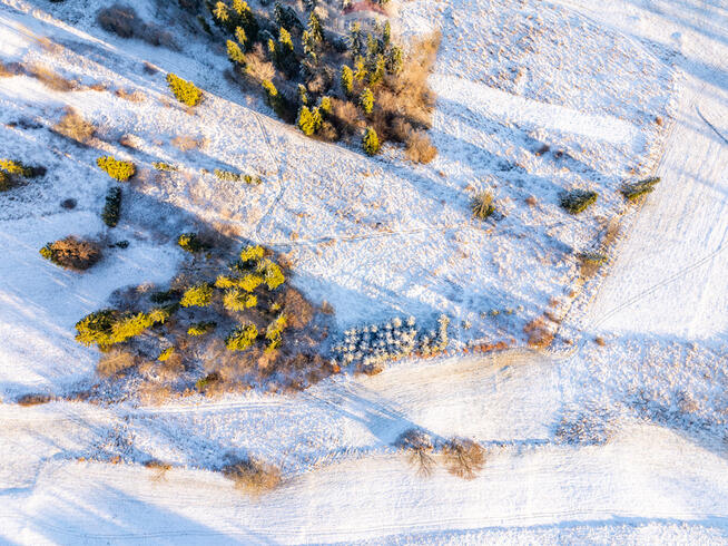 Działka w Szaflarach