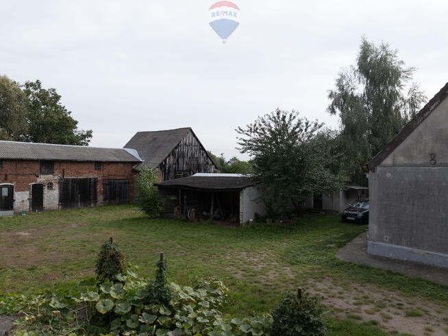 Podrzewie, dom + zabudowania na dużej działce