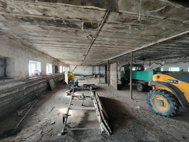 Gospodarstwo rolne z chlewniami, kurnikami, garaż