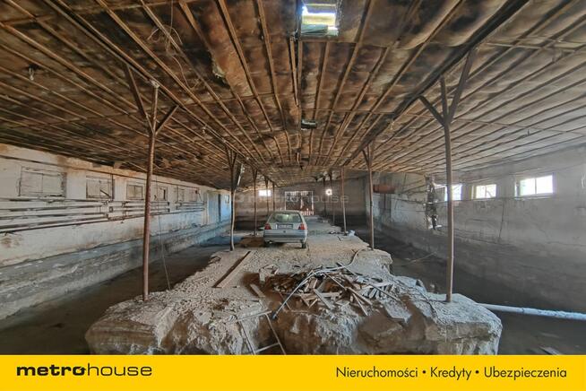 Gospodarstwo rolne z chlewniami, kurnikami, garaż