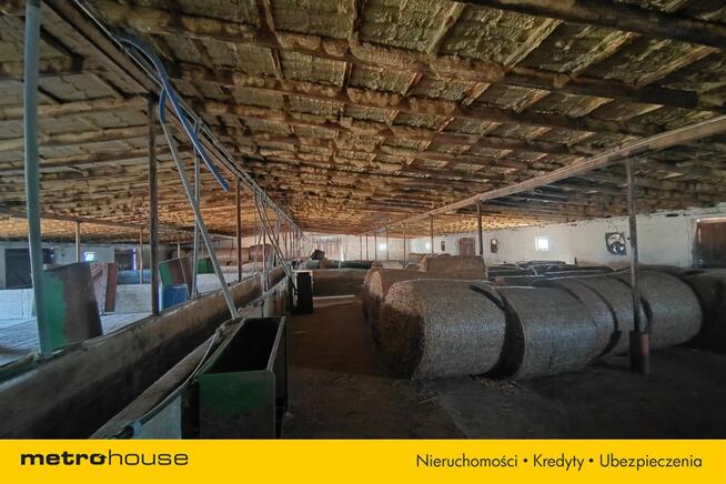 Gospodarstwo rolne z chlewniami, kurnikami, garaż