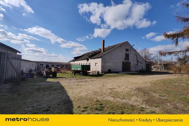 Gospodarstwo rolne z chlewniami, kurnikami, garaż
