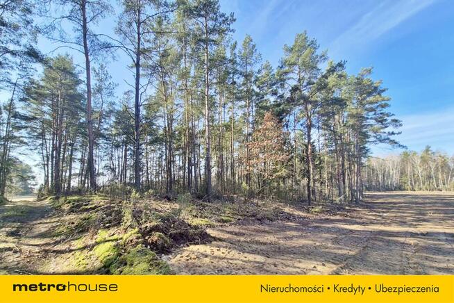 Urokliwa Działka rolno-leśna 0,91 ha Chudek