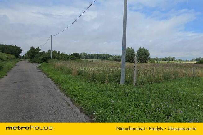 Działka 1,59ha we Wsi Półmieście, Żuławy Wiślane