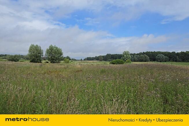 Działka 1,59ha we Wsi Półmieście, Żuławy Wiślane