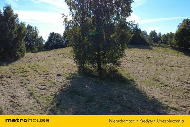 Działka marzeń w Gulbitach nad jeziorem Narie.