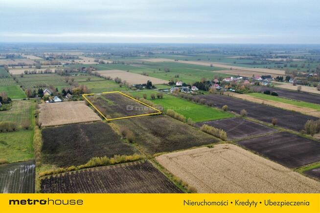 KRZEWSK, idealne miejsce na dom dla Twojej rodziny