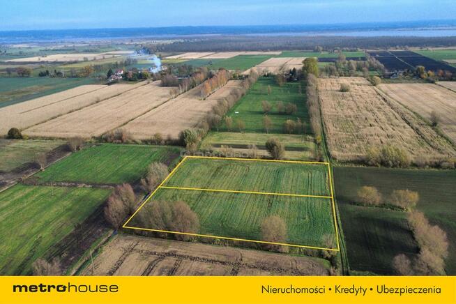 Nowa oferta działki rolne w Krzewsku!