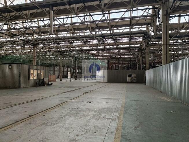 Lokal użytkowy Warszawa Praga-Północ, Pelcowizna, Modlińska